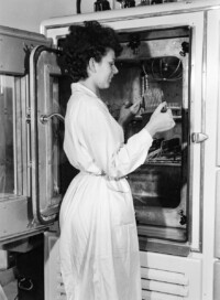 Mitarbeiterin beim Einstellen der Dioden in eine Klimakammer, Juni 1963.